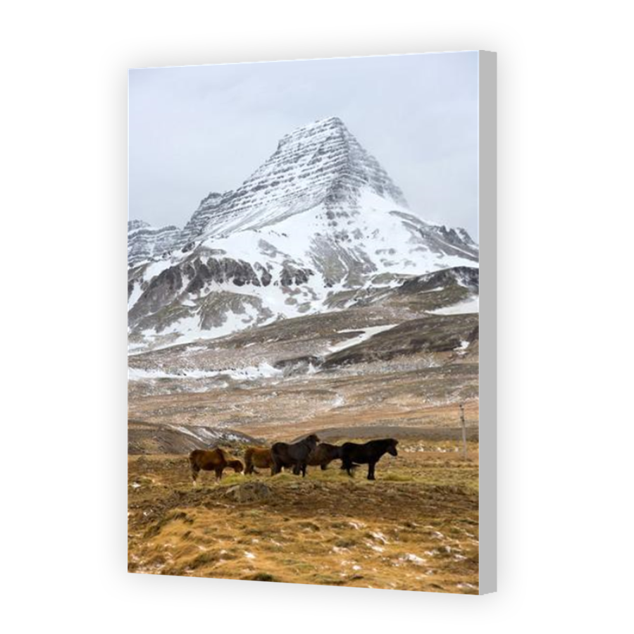 Thumbnail for Canvas - Coloured Canvas Wrap