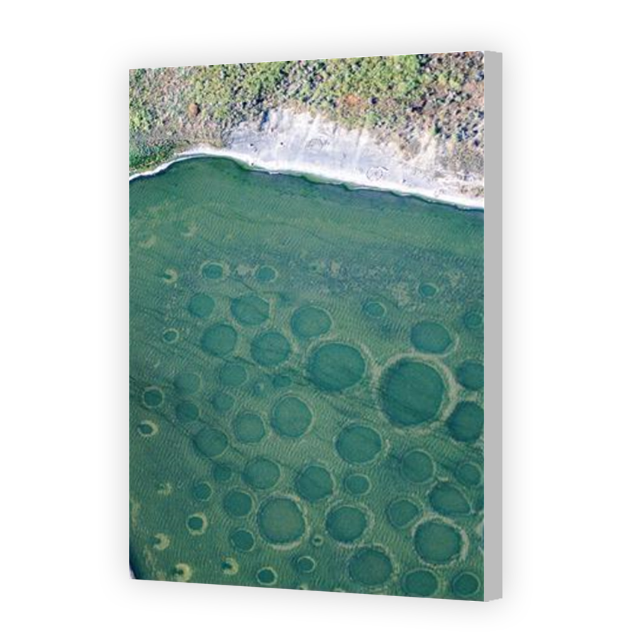 Thumbnail for Canvas - Coloured Canvas Wrap