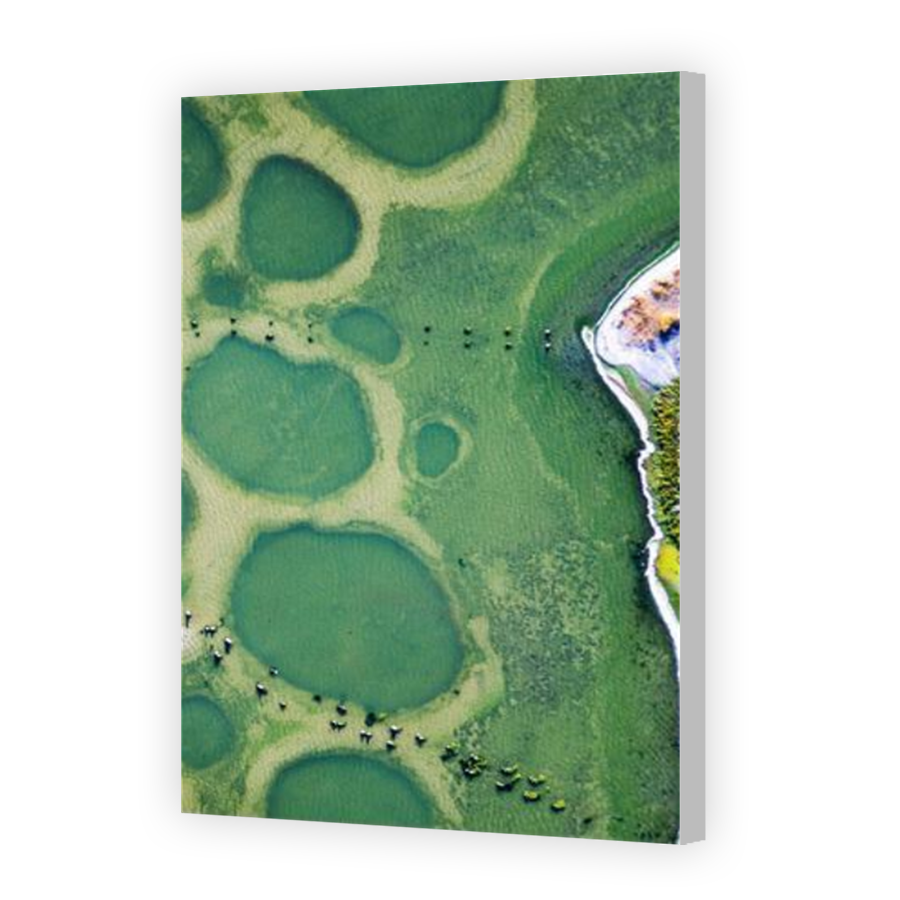 Thumbnail for Canvas - Coloured Canvas Wrap