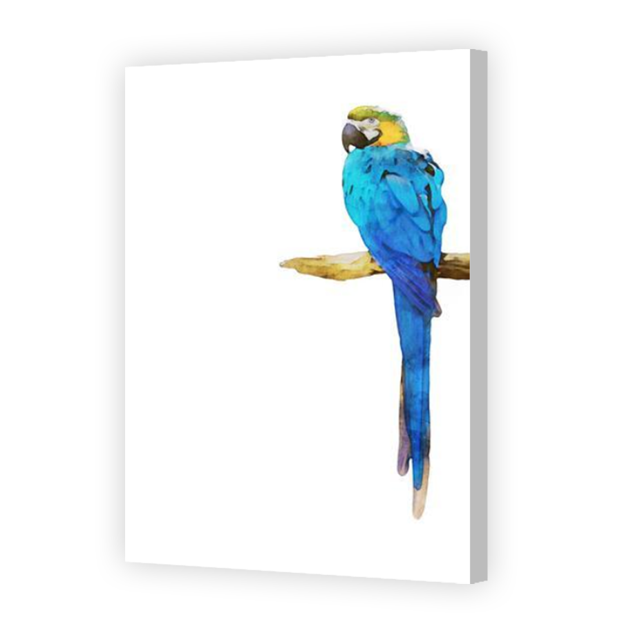 Thumbnail for Canvas - Coloured Canvas Wrap