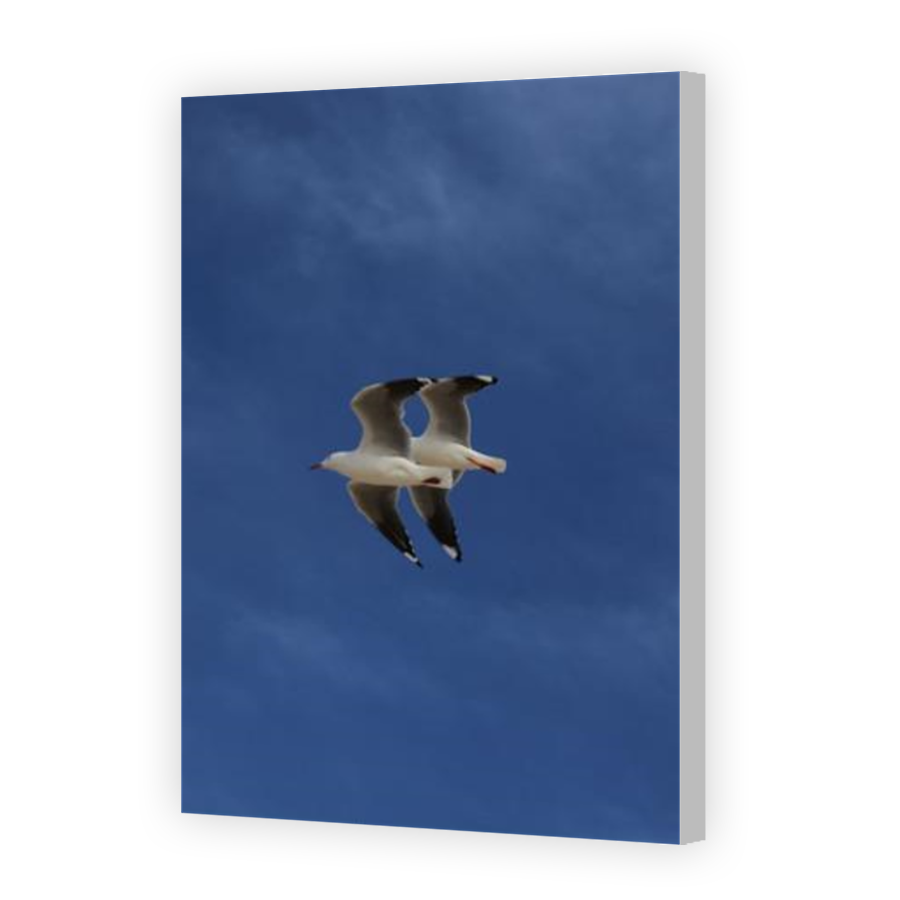 Thumbnail for Canvas - Coloured Canvas Wrap