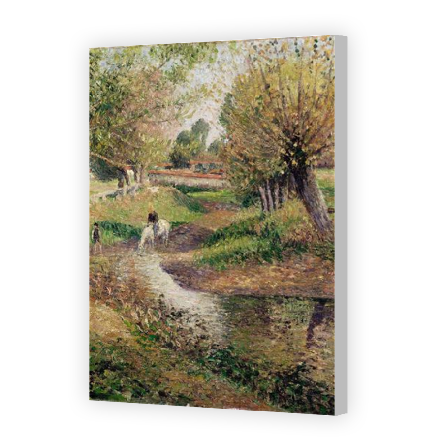 Thumbnail for Canvas - Coloured Canvas Wrap