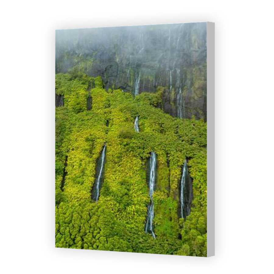 Thumbnail for Canvas - Coloured Canvas Wrap