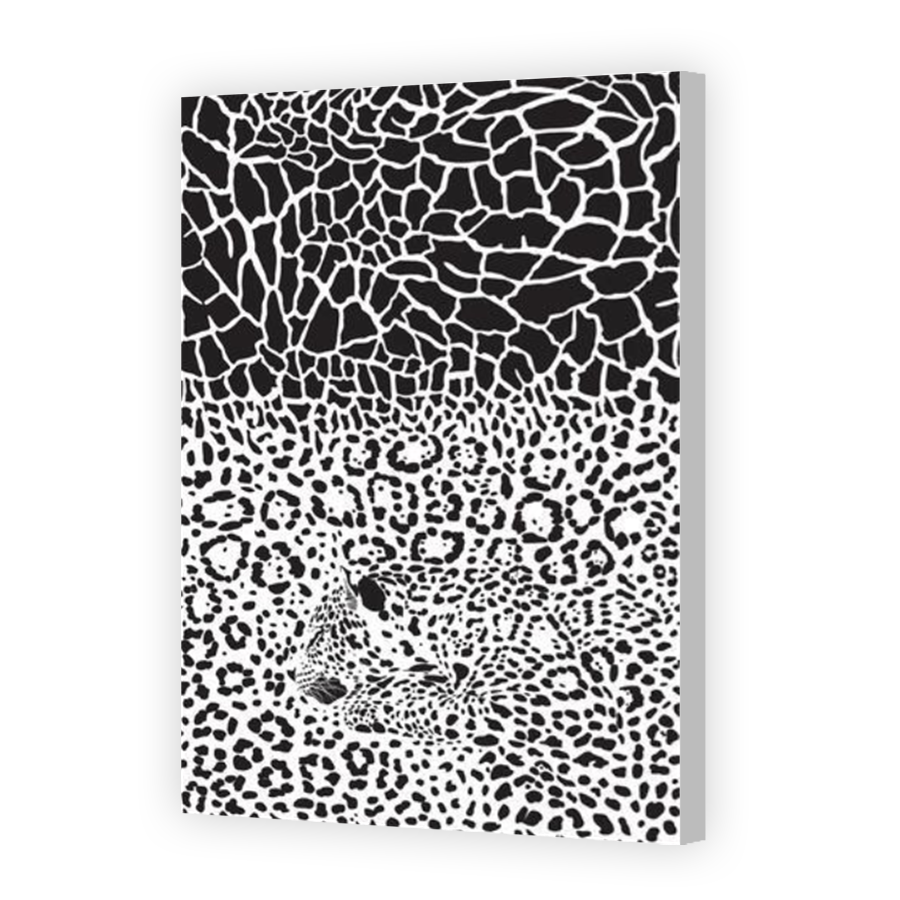 Thumbnail for Canvas - Coloured Canvas Wrap