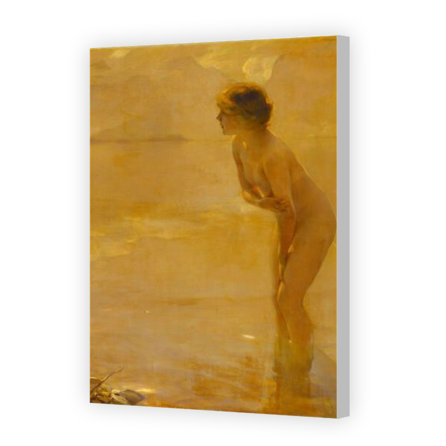 Thumbnail for Canvas - Coloured Canvas Wrap