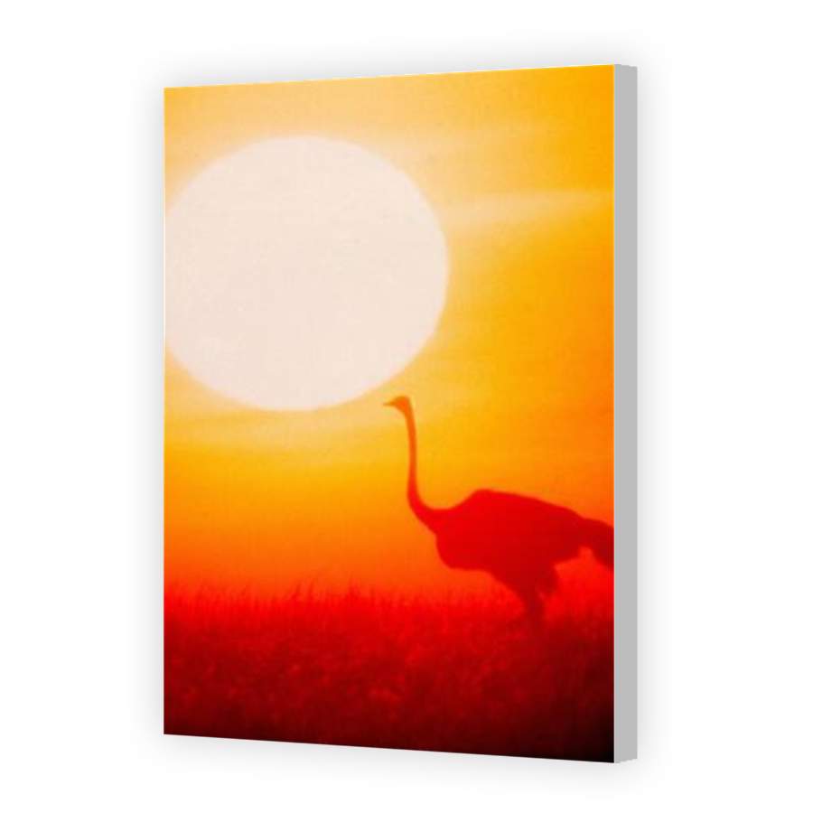 Thumbnail for Canvas - Coloured Canvas Wrap