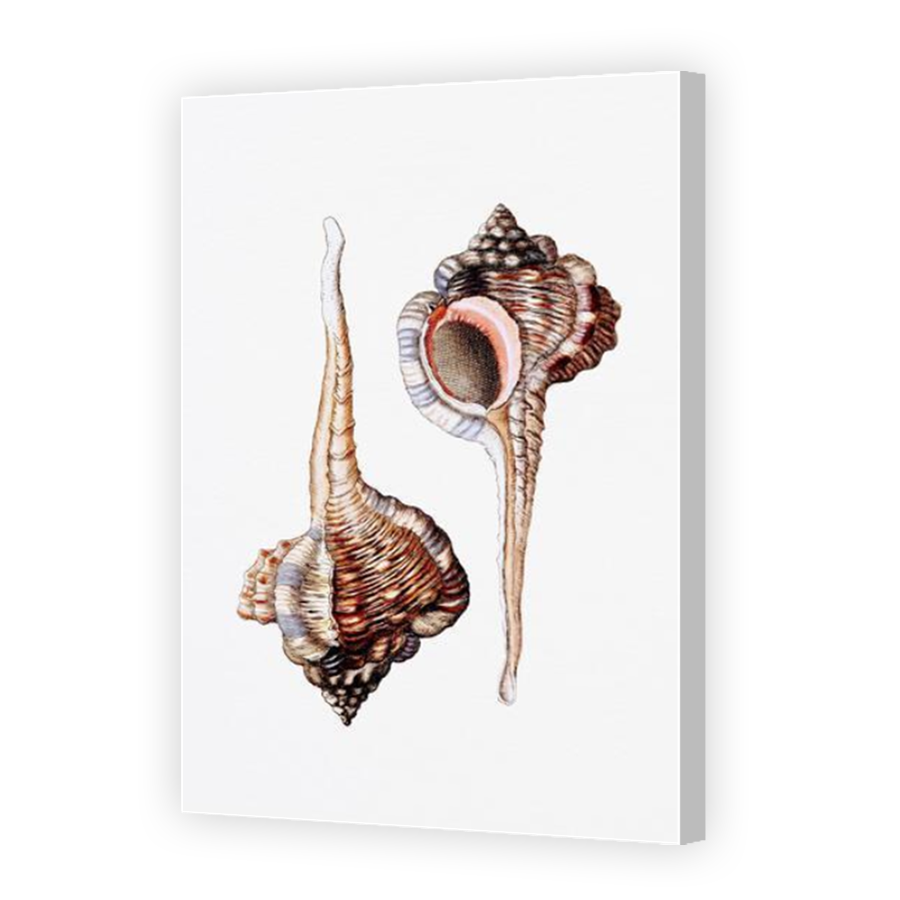 Thumbnail for Canvas - Coloured Canvas Wrap