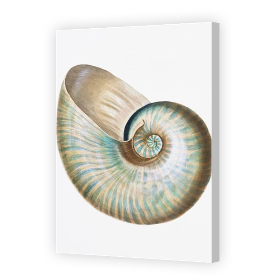 Thumbnail for Canvas - Coloured Canvas Wrap