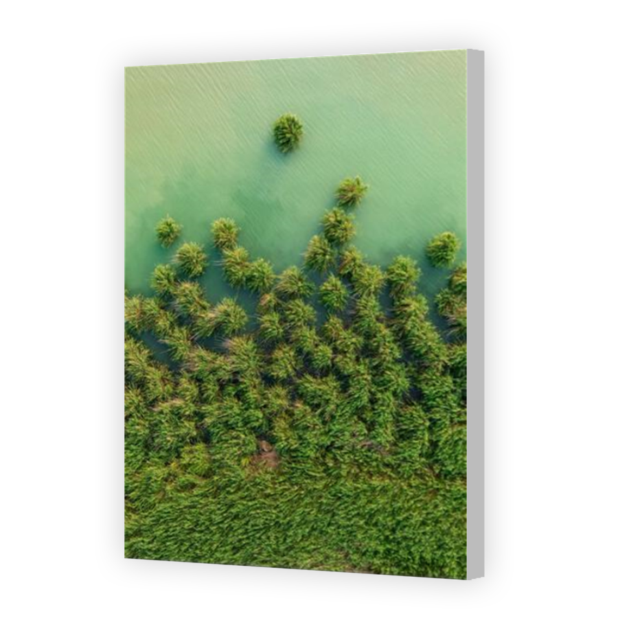 Thumbnail for Canvas - Coloured Canvas Wrap