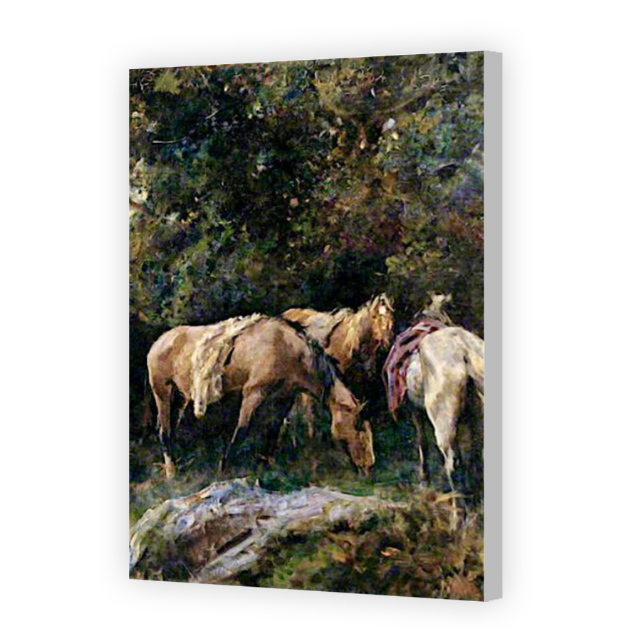 Thumbnail for Canvas - Coloured Canvas Wrap