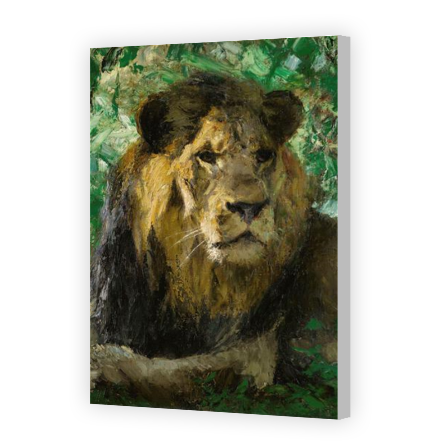 Thumbnail for Canvas - Coloured Canvas Wrap