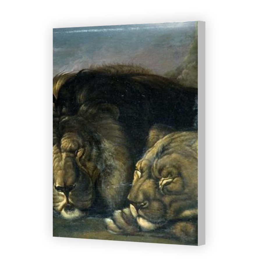 Thumbnail for Canvas - Coloured Canvas Wrap