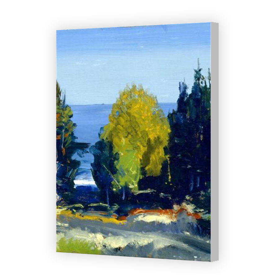 Thumbnail for Canvas - Coloured Canvas Wrap