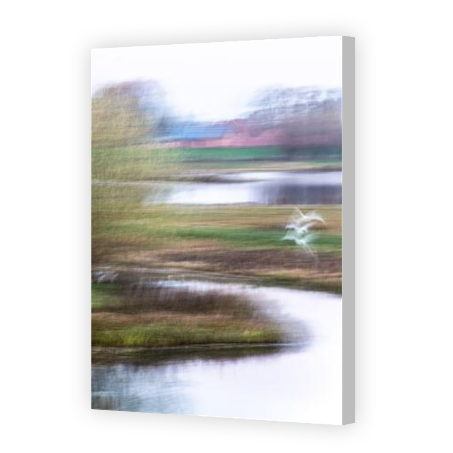 Thumbnail for Canvas - Coloured Canvas Wrap