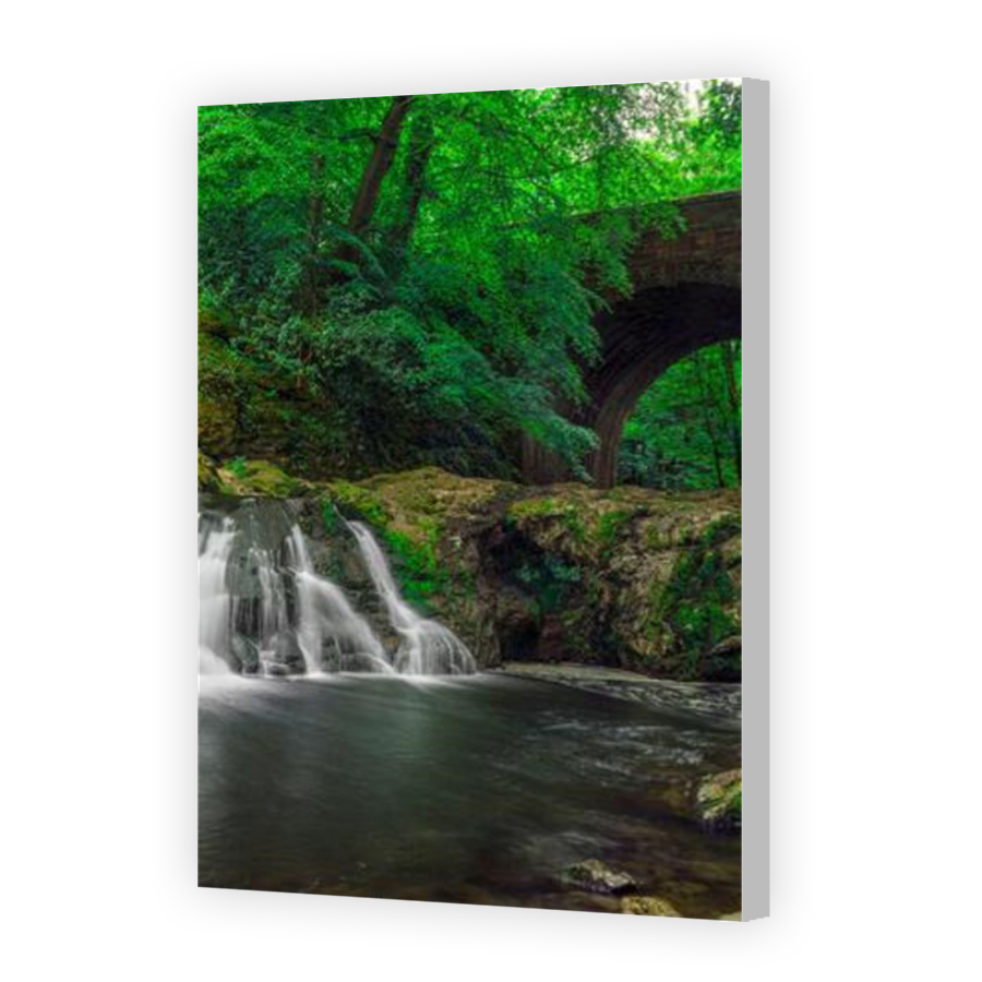 Thumbnail for Canvas - Coloured Canvas Wrap