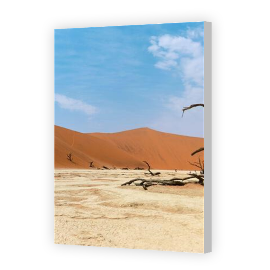 Thumbnail for Canvas - Coloured Canvas Wrap