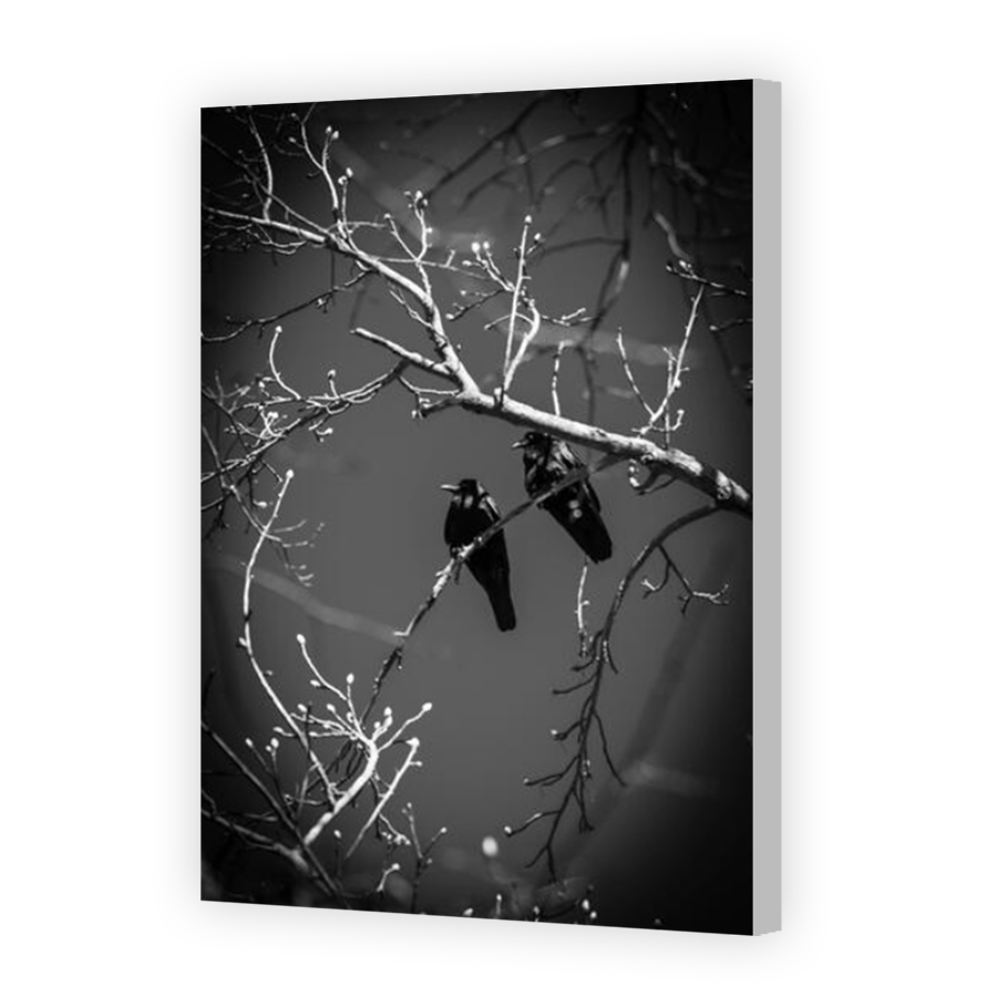 Thumbnail for Canvas - Coloured Canvas Wrap
