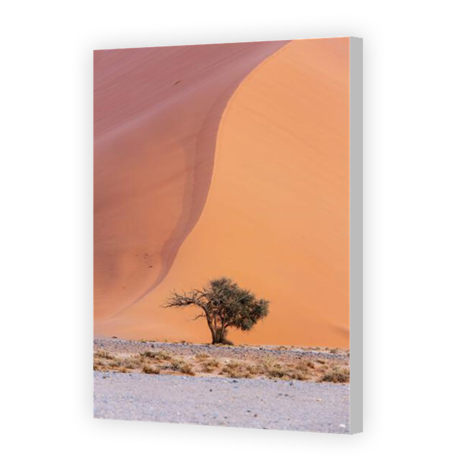Thumbnail for Canvas - Coloured Canvas Wrap