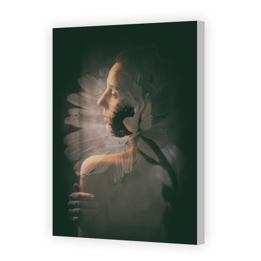 Thumbnail for Canvas - Coloured Canvas Wrap