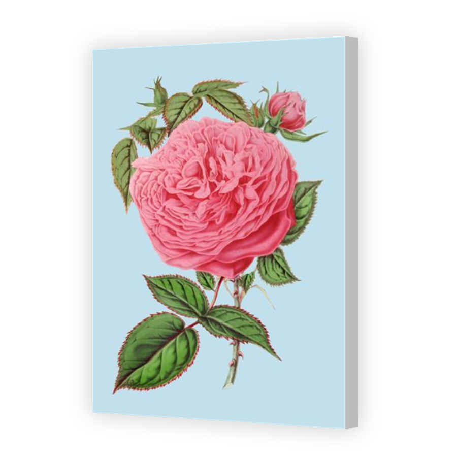 Thumbnail for Canvas - Coloured Canvas Wrap