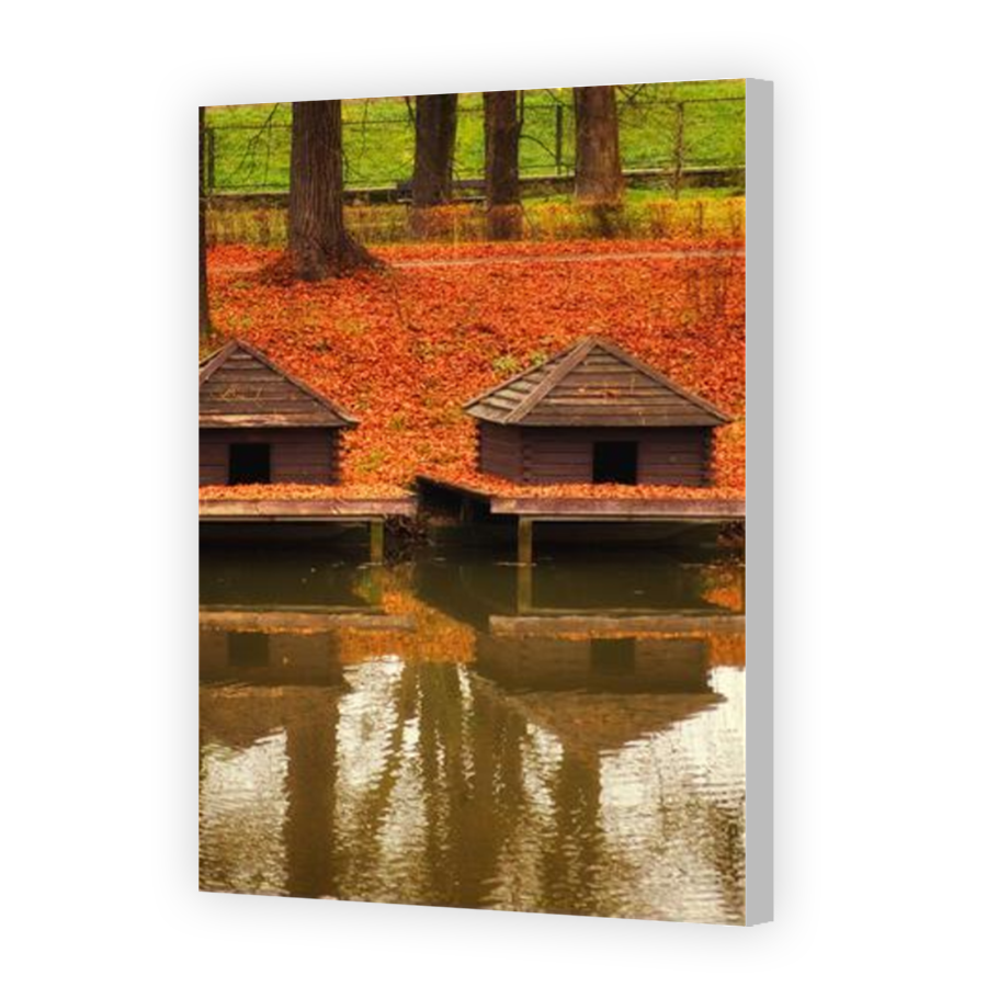 Thumbnail for Canvas - Coloured Canvas Wrap