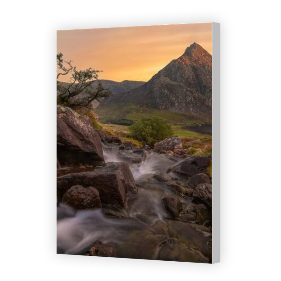 Thumbnail for Canvas - Coloured Canvas Wrap