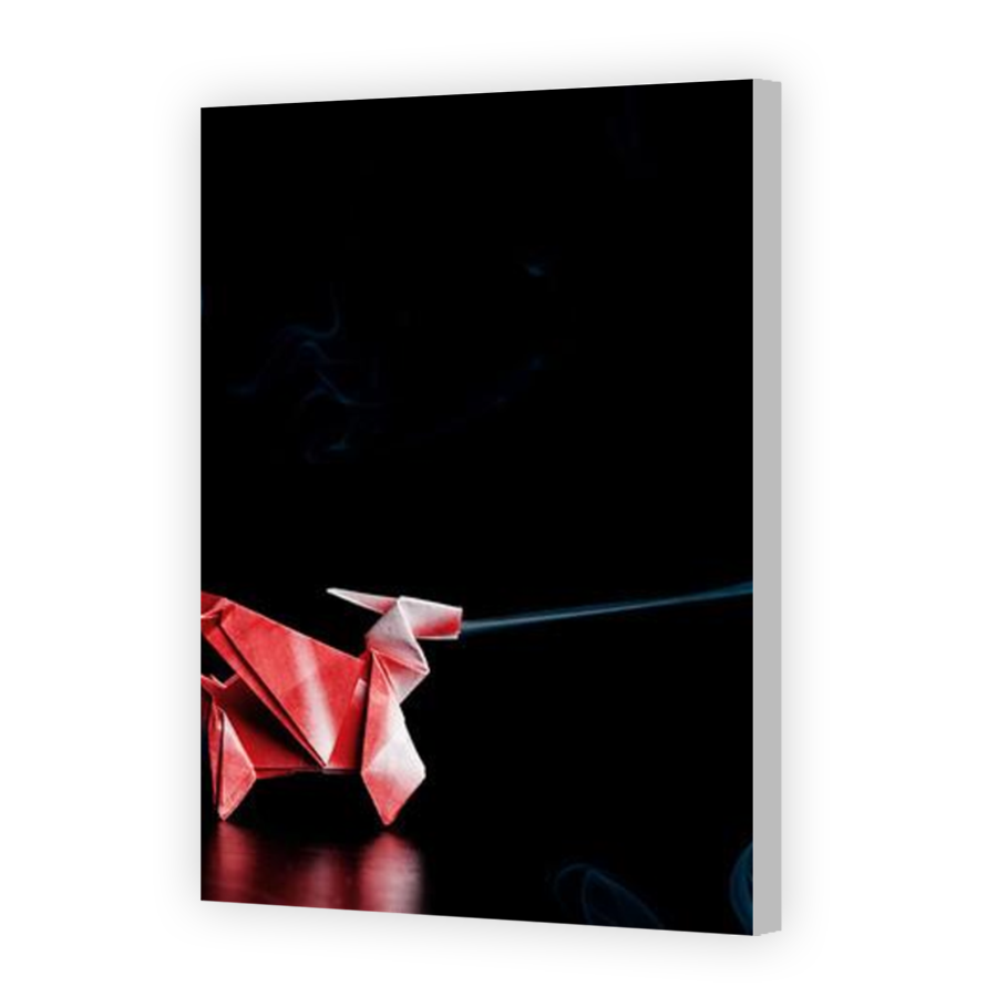 Thumbnail for Canvas - Coloured Canvas Wrap