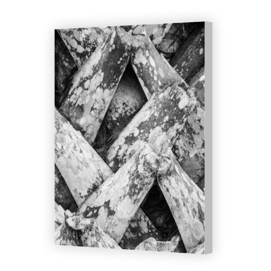 Thumbnail for Canvas - Coloured Canvas Wrap