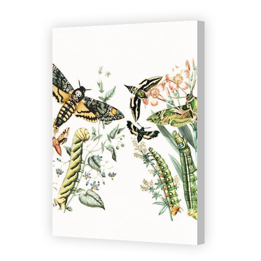 Thumbnail for Canvas - Coloured Canvas Wrap