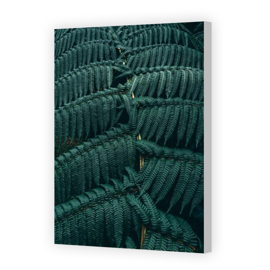 Thumbnail for Canvas - Coloured Canvas Wrap