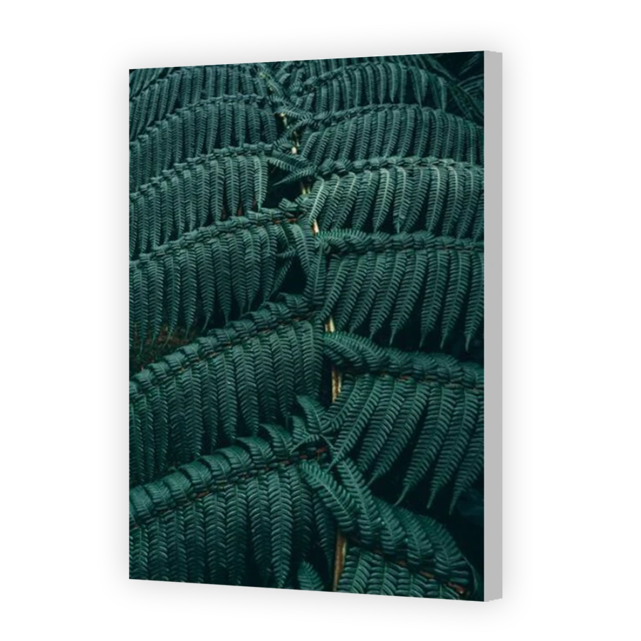Thumbnail for Canvas - Coloured Canvas Wrap