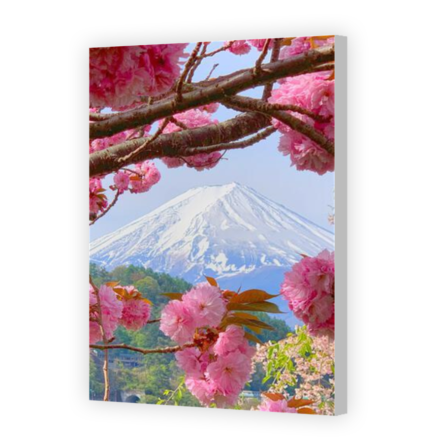 Thumbnail for Canvas - Coloured Canvas Wrap