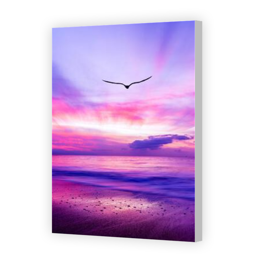Thumbnail for Canvas - Coloured Canvas Wrap