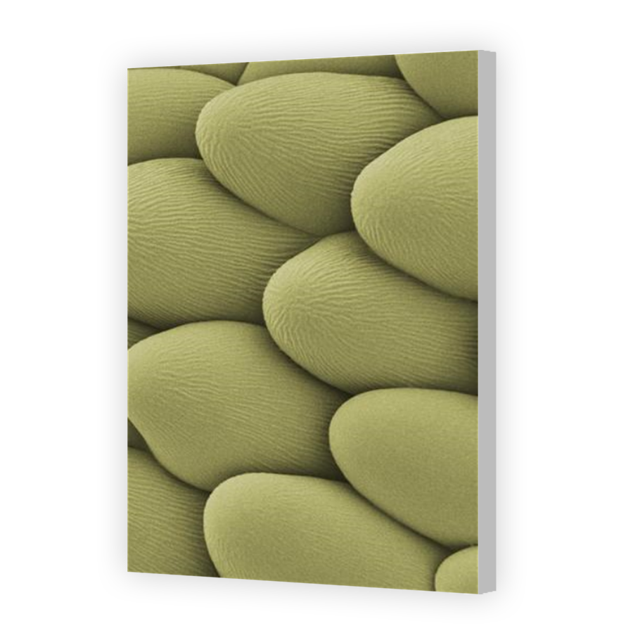Thumbnail for Canvas - Coloured Canvas Wrap