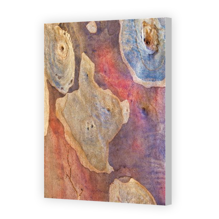 Thumbnail for Canvas - Coloured Canvas Wrap