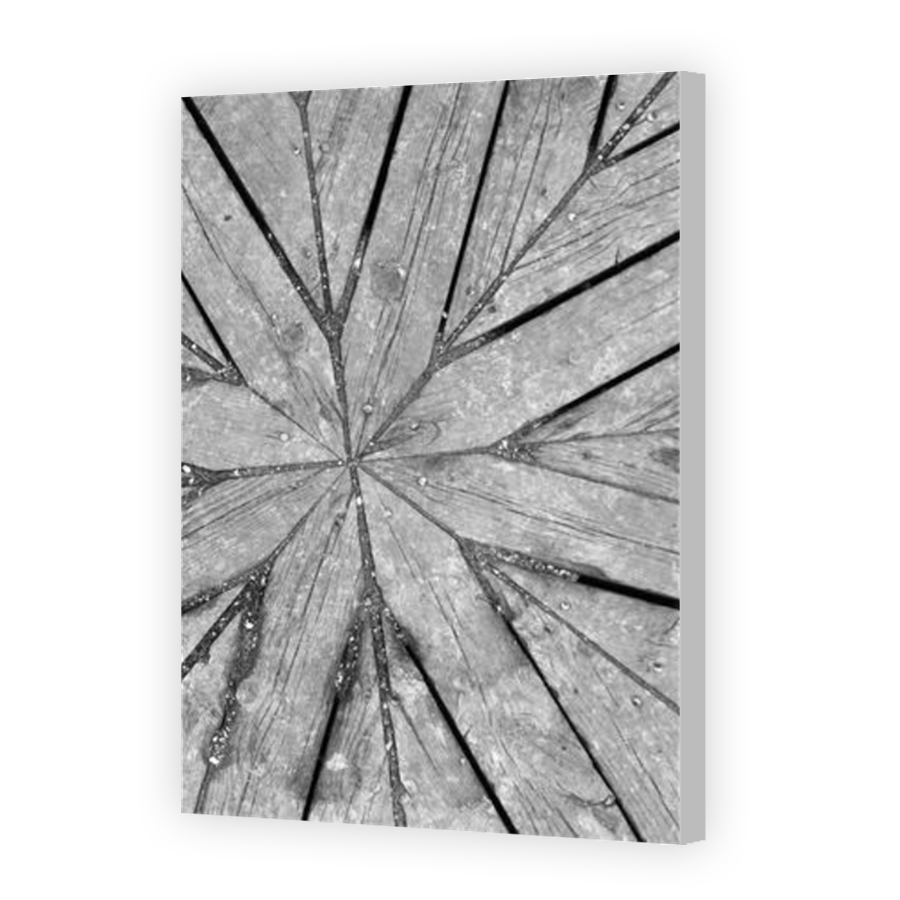 Thumbnail for Canvas - Coloured Canvas Wrap