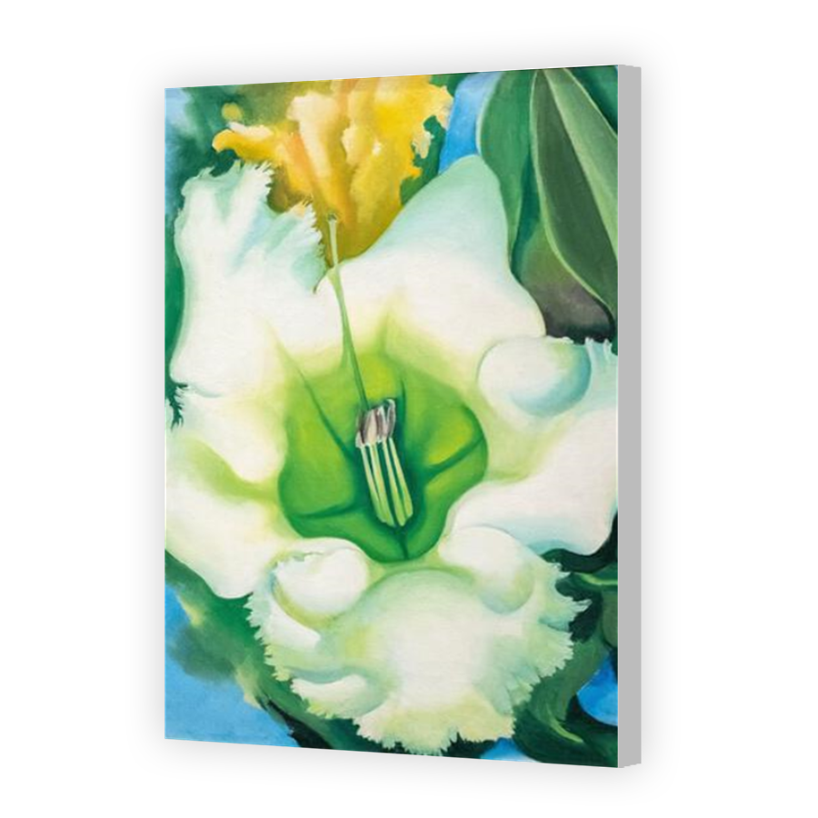 Thumbnail for Canvas - Coloured Canvas Wrap