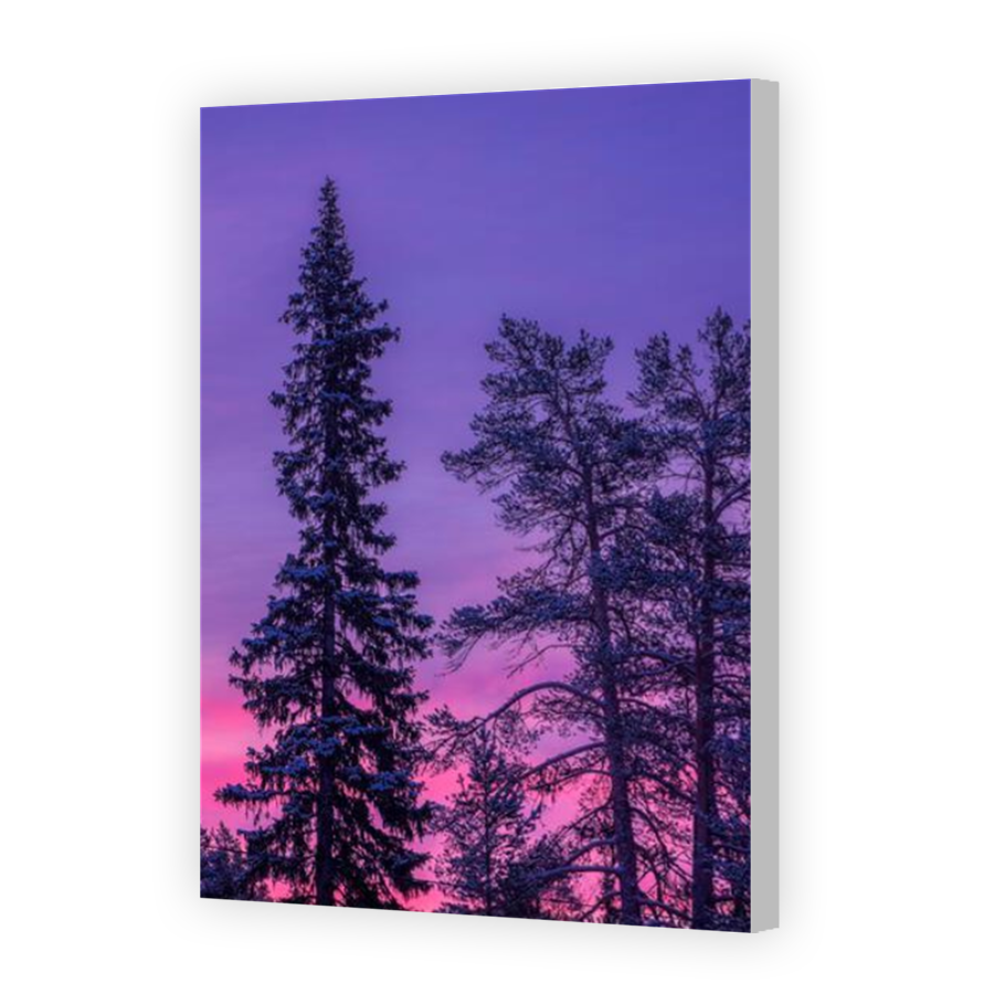 Thumbnail for Canvas - Coloured Canvas Wrap