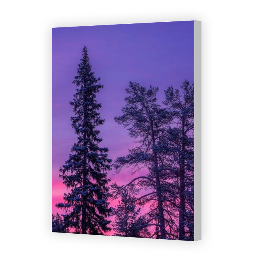 Thumbnail for Canvas - Coloured Canvas Wrap