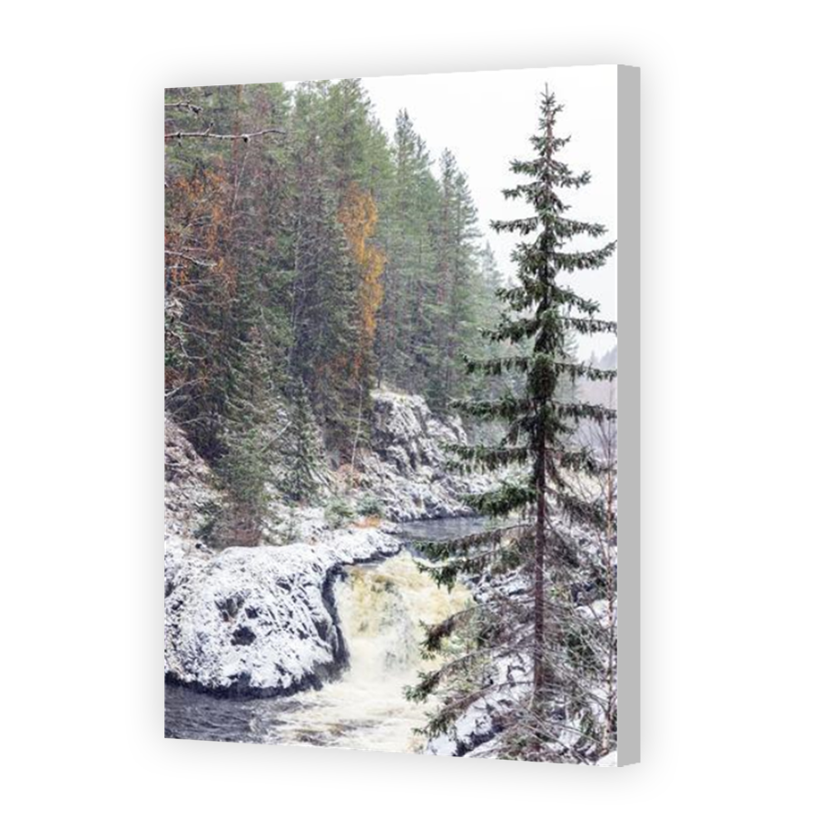 Thumbnail for Canvas - Coloured Canvas Wrap
