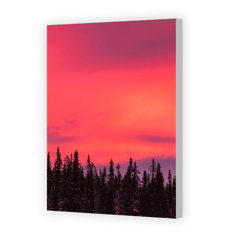 Thumbnail for Canvas - Coloured Canvas Wrap