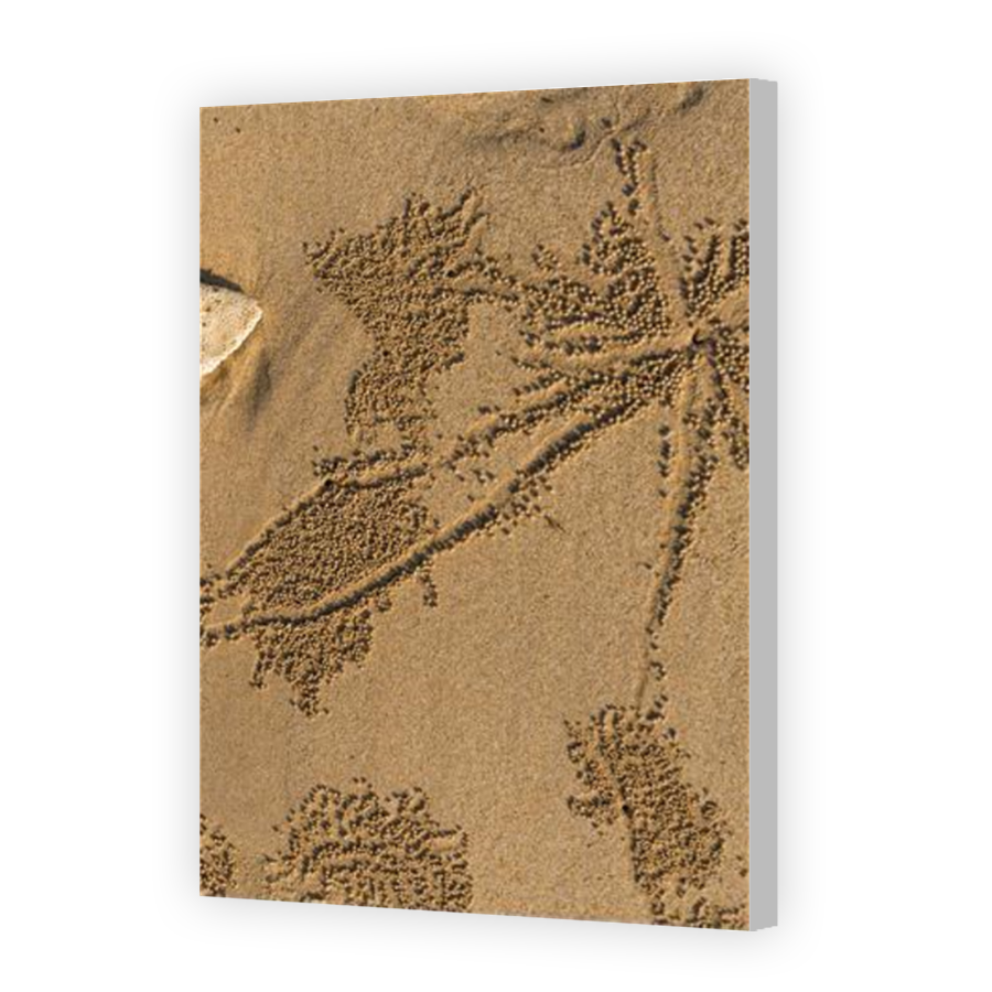 Thumbnail for Canvas - Coloured Canvas Wrap