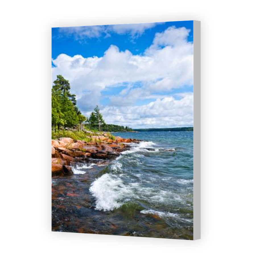 Thumbnail for Canvas - Coloured Canvas Wrap