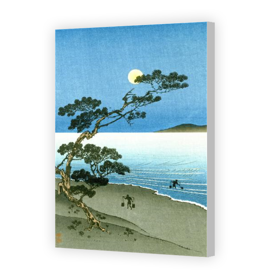 Thumbnail for Canvas - Coloured Canvas Wrap