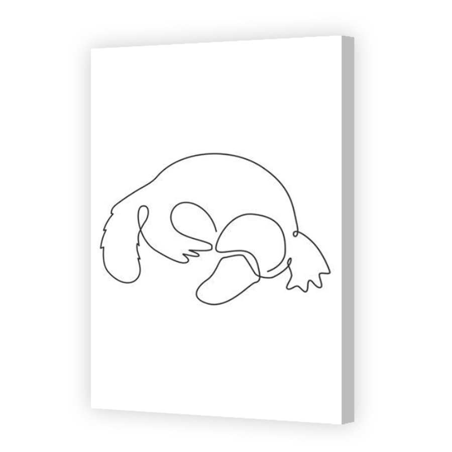 Thumbnail for Canvas - Coloured Canvas Wrap