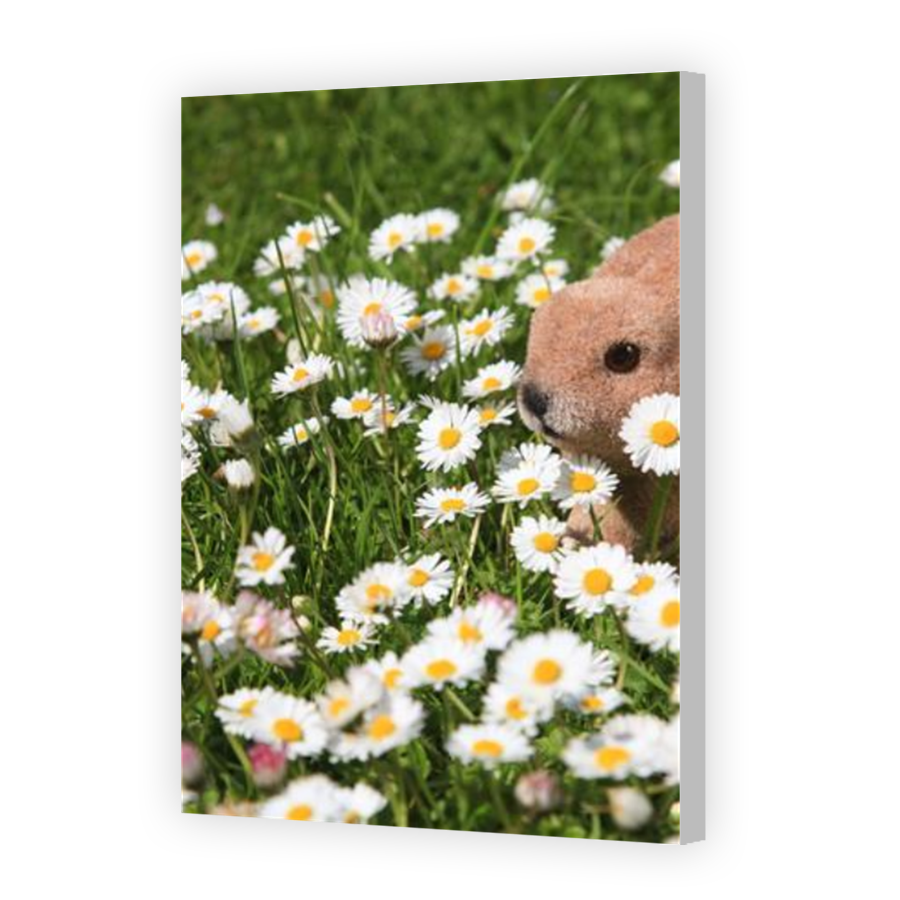 Thumbnail for Canvas - Coloured Canvas Wrap