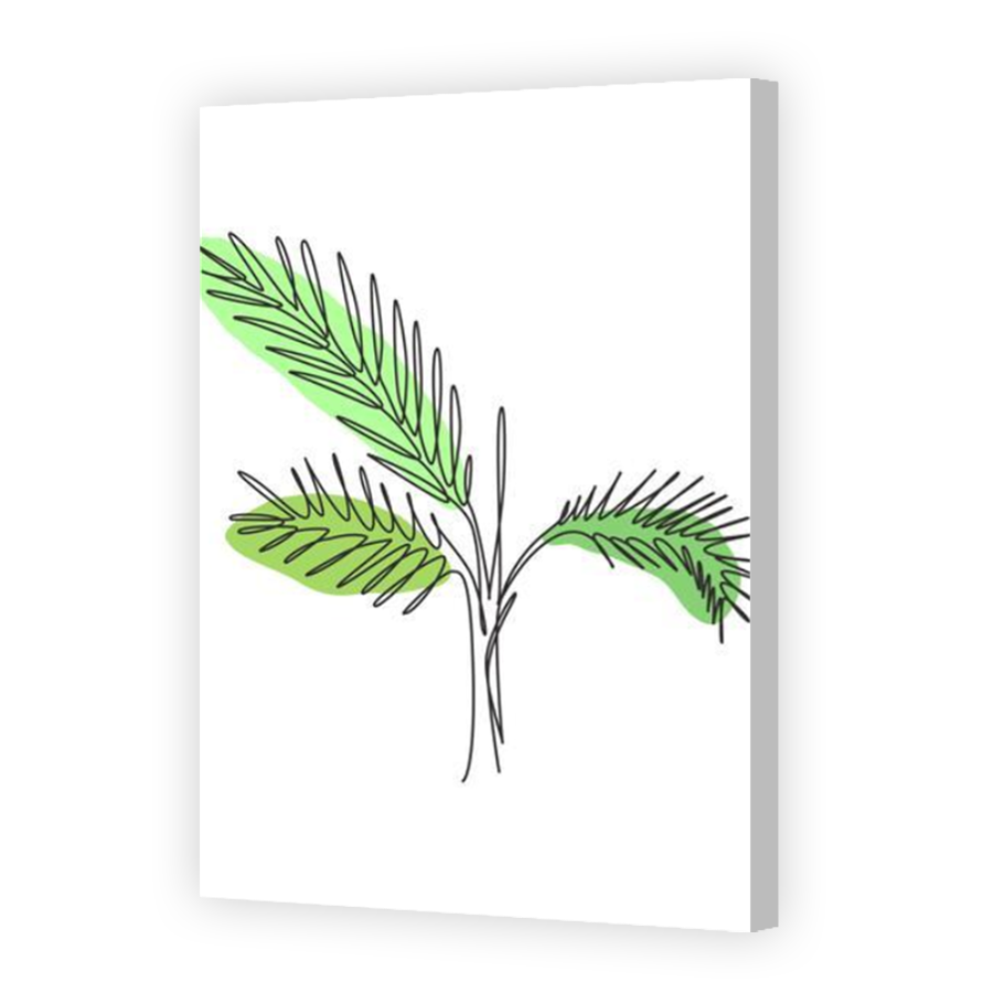 Thumbnail for Canvas - Coloured Canvas Wrap