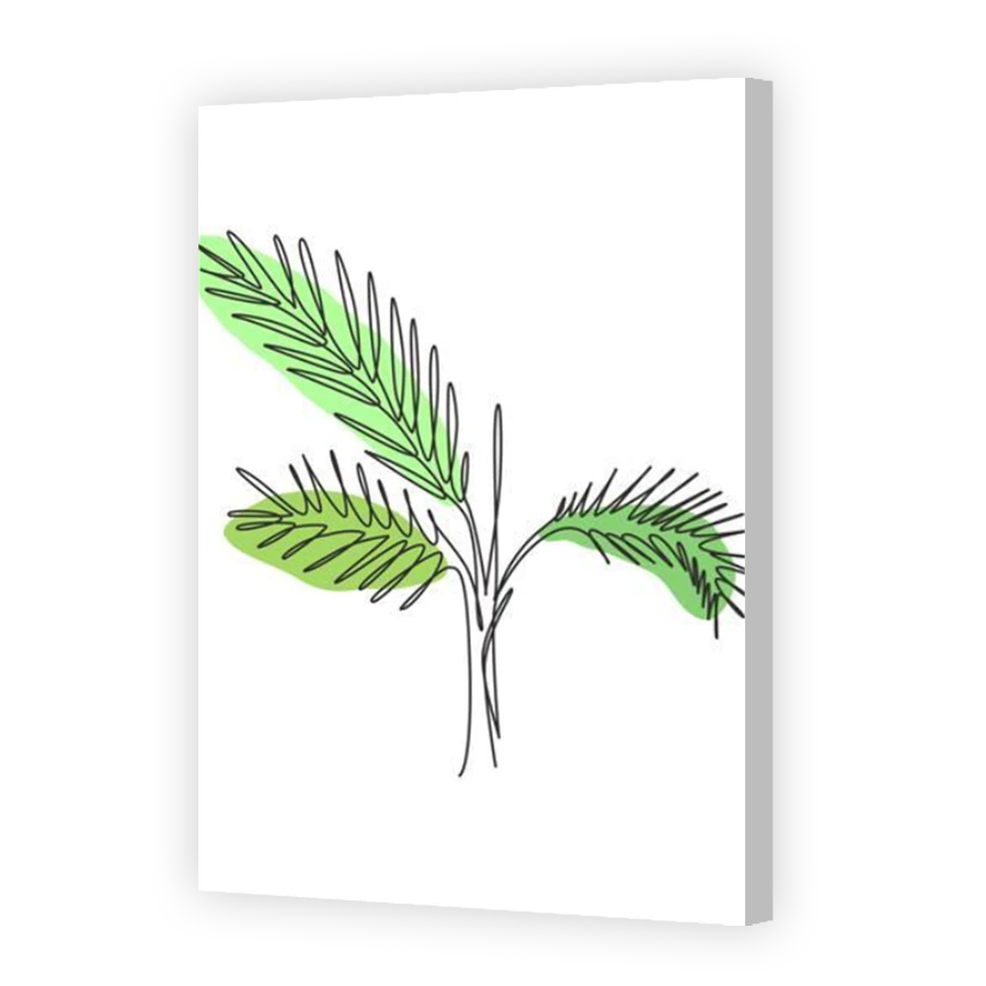 Thumbnail for Canvas - Coloured Canvas Wrap