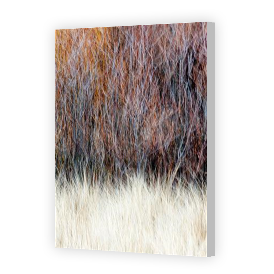 Thumbnail for Canvas - Coloured Canvas Wrap