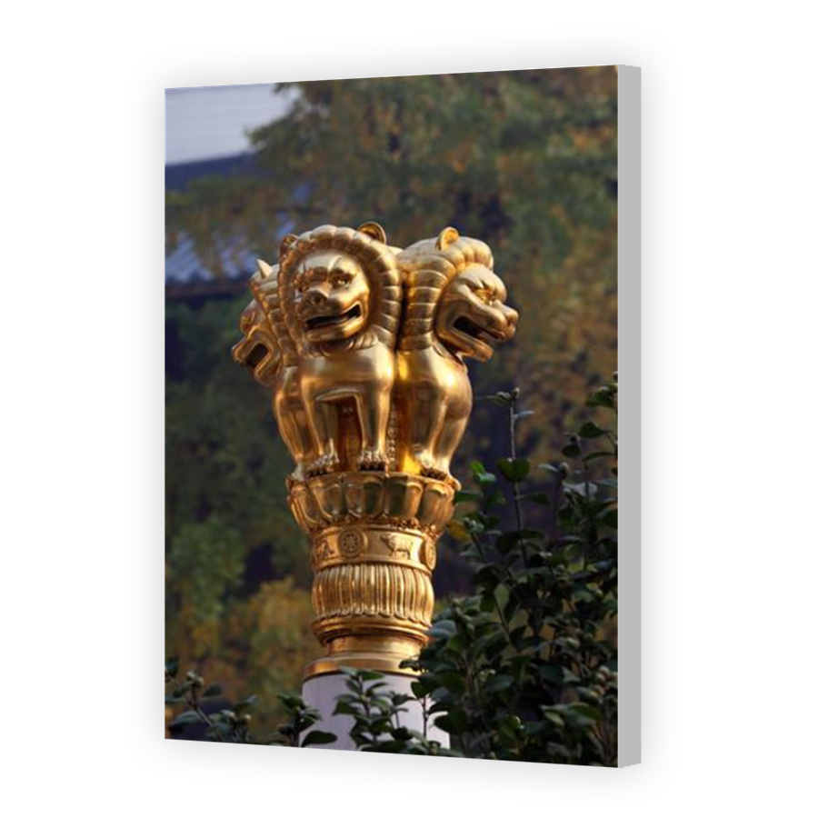 Thumbnail for Canvas - Coloured Canvas Wrap